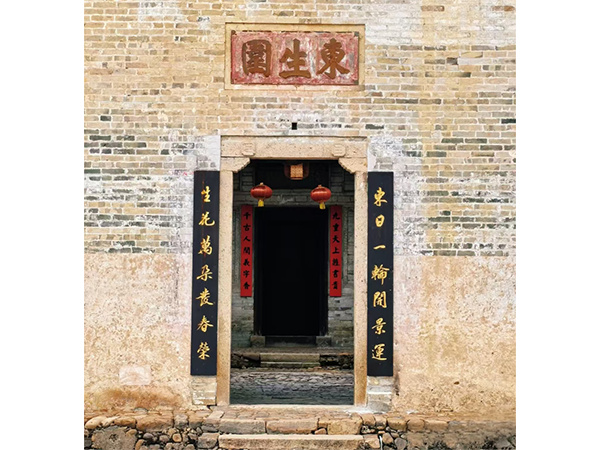 东生围安防工程